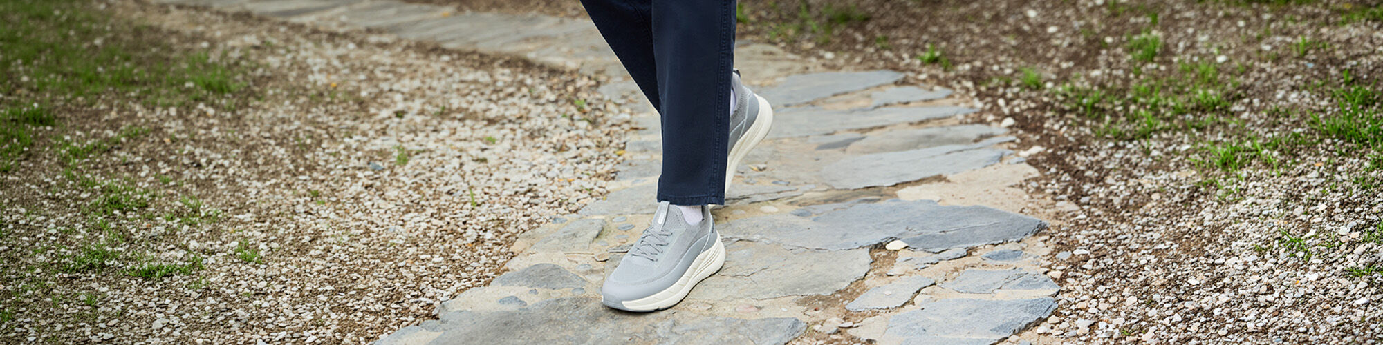 Greyder