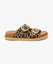 Leopar